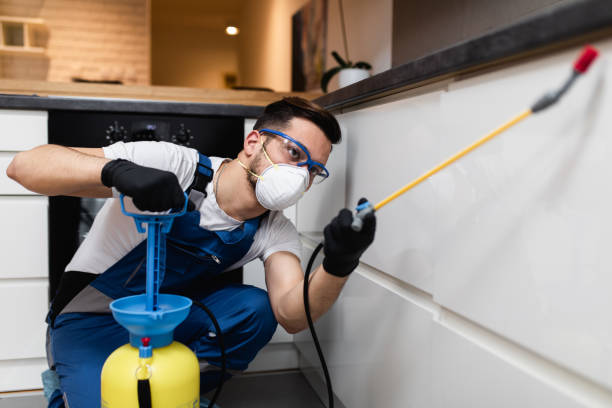 Best Emergency Pest Control  in Warren, OH