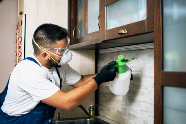 Best Affordable Pest Control Services  in Warren, OH