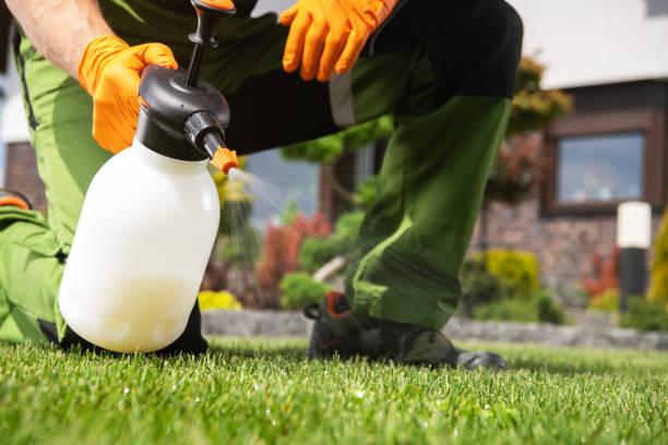 Best Best Pest Control Companies  in Warren, OH