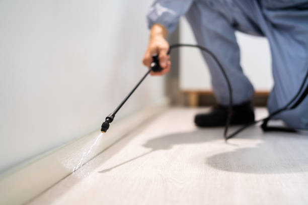 Best Wasp Removal Services  in Warren, OH
