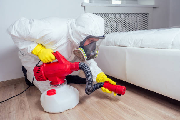 Best Insect Control  in Warren, OH
