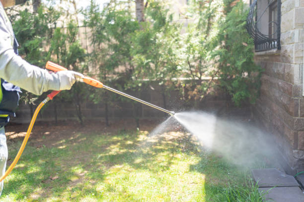 Best Pest Inspection Near Me  in Warren, OH