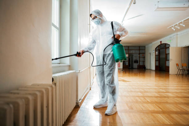 Best Flea Control Services  in Warren, OH