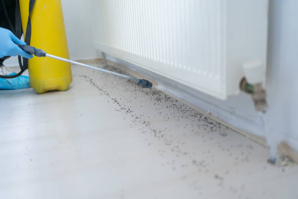 Best Exterminator Services  in Warren, OH